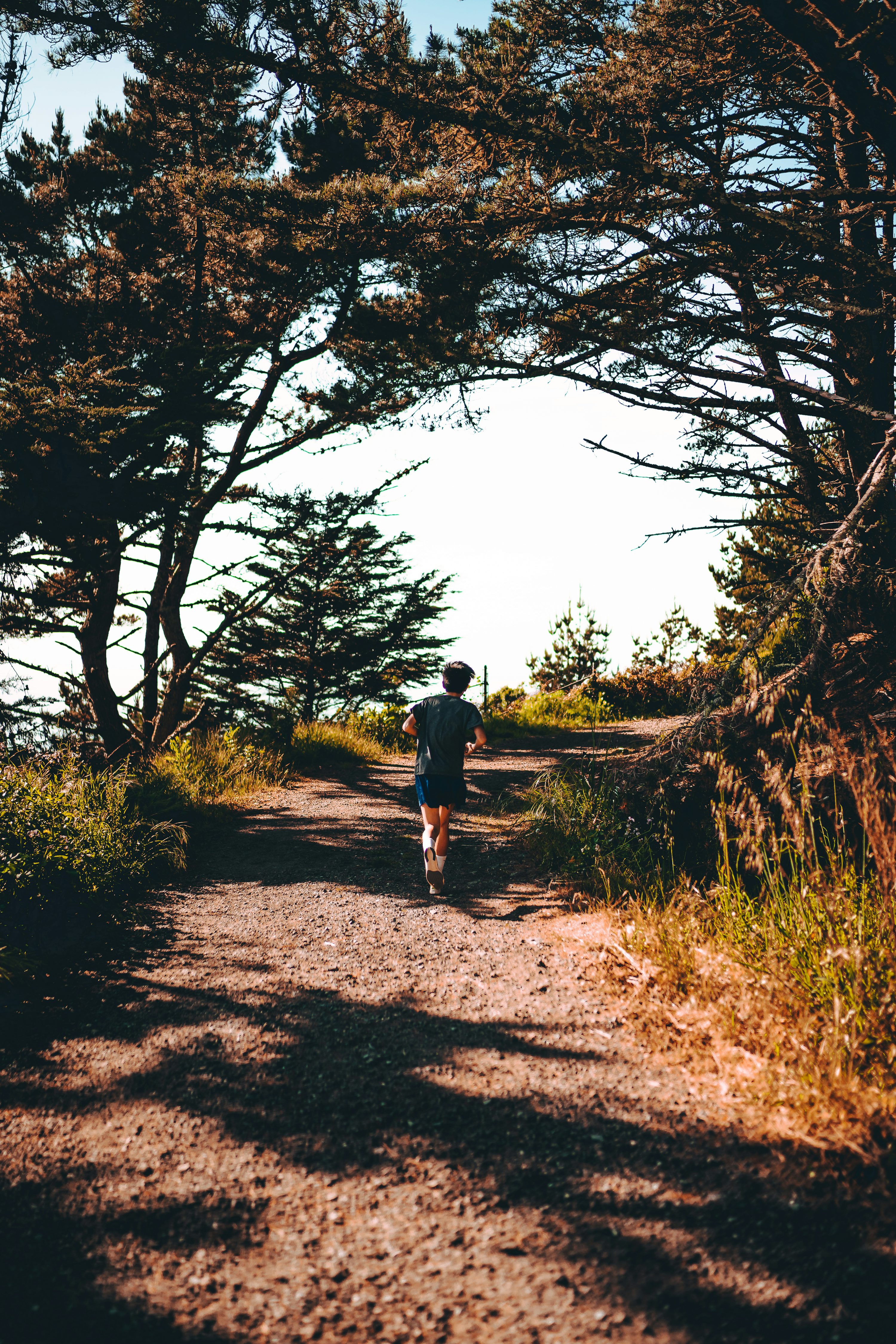 Forest trail runner
